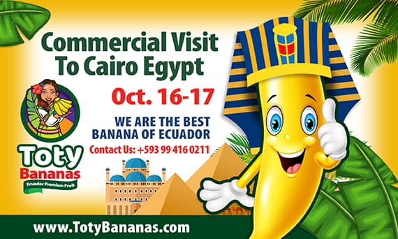 FrutiBanana commercial visit — Cairo, Egypt 2019