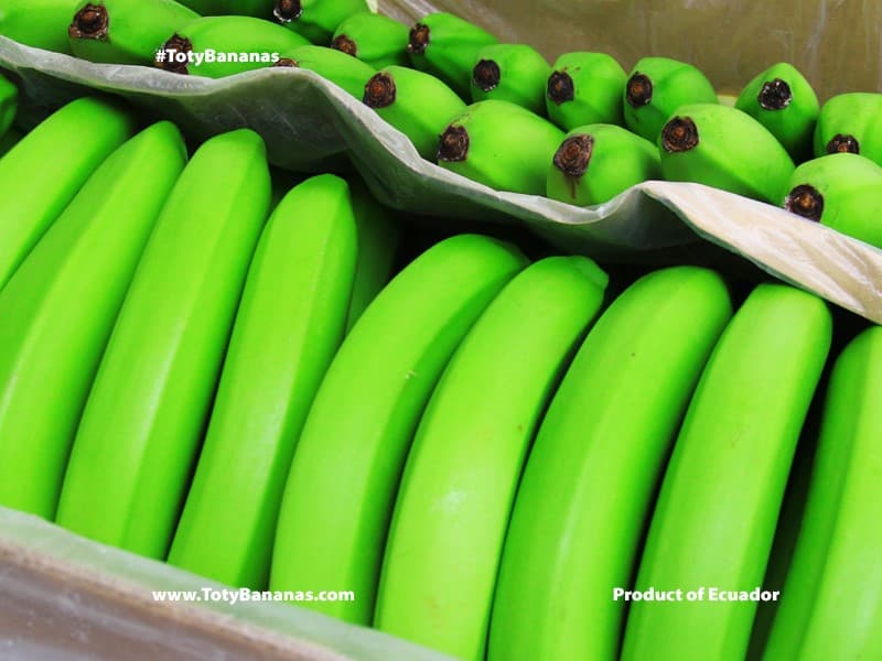 FrutiBanana operations team