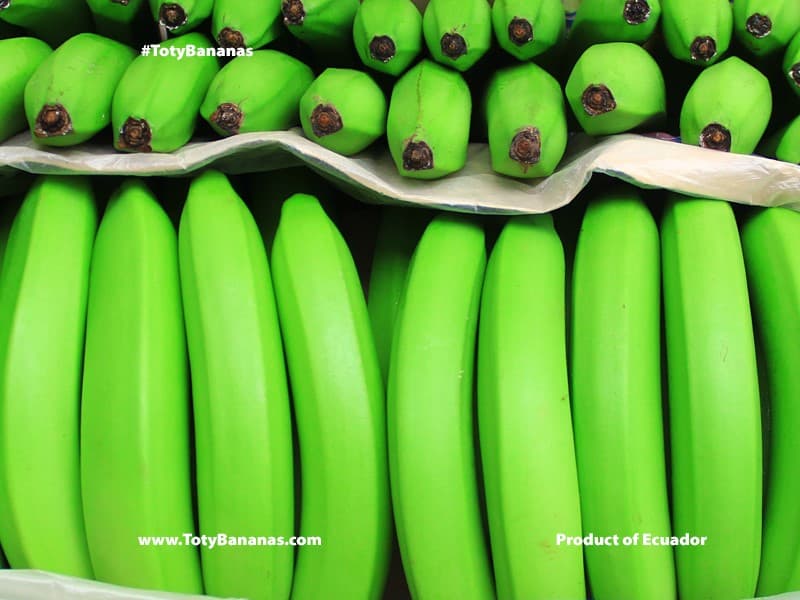 FrutiBanana — company team
