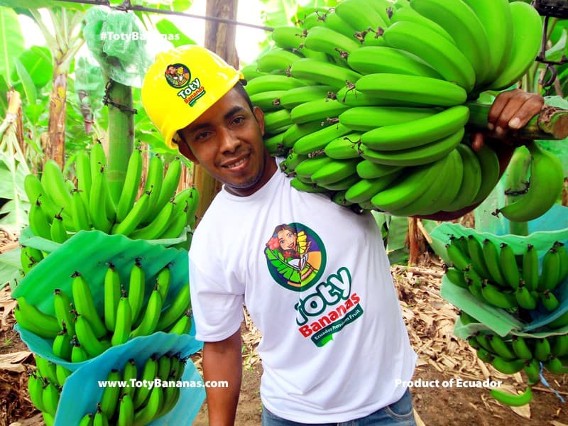 Plantation operations — field crew